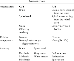 The nervous system has two major parts: Physiology Of The Nervous System Download Table