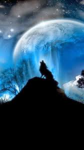 These 538 sky iphone wallpapers are free to download for your iphone x. Tap And Get The Free App Space Sky Dark Black Blue Wolf Moon Stars Hd Iphone 5 Wallpaper Fantasy Wolf Beautiful Backgrounds Wolf Wallpaper