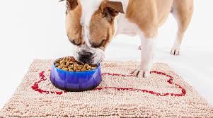 If you actually use one in your home, then you can imagine that it is basically the same thing. Soggy Doggy Slopmat Review Is This Dog Bowl Mat Worth It Reviewed