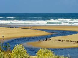 Reserve Naturelle Du Courant D Huchet L Embouchure France Voyage Com Voyage En France Moliets Plage Reserve Naturelle