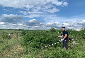 Documentar despre orașul ungheni, republica moldova. AcÈ›iune De CurÄƒÈ›are A VegetaÈ›iei In Cimitir La ComoraÈ™te Cu Mic Cu Mare La Voluntariat Video Realitatea De Resita