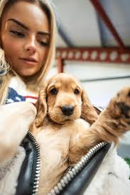 Newfoundland was cranky this morning