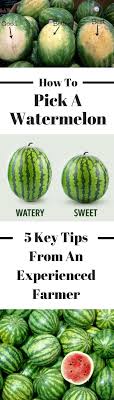 What makes a watermelon sweet? How To Pick The Perfect Watermelon Pineapple Cantaloupe And Strawberries