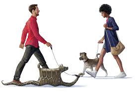 Very quick and knowledgeable response, excellent pricing and quick safe shipping. Factors That Up The Chances An Exotic Pet Gets Released Into The Wild Scientific American