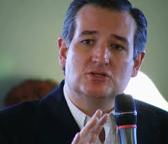 Chicago court to hear 'natural-born' case to knock Ted Cruz off ballot
