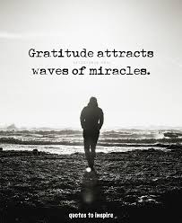 Gratitude attracts waves of miracles. 🦋 - Quotes To Inspire | Facebook