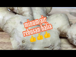 1 tangkai daun bawang, hiris panjang 2cm cm. Air Halia Minuman Berkhasiat Youtube