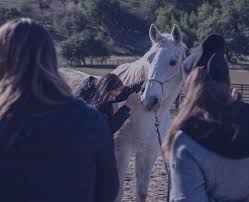 BTMM Nerve Release Practitioners