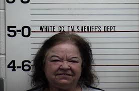 Private company may possibly purchase landfill