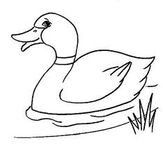 Show your kids a fun way to learn the abcs with alphabet printables they can color. Duck Coloring Pages Forcoloringpages Com Coloring Pages Duck Drawing Drawing For Kids