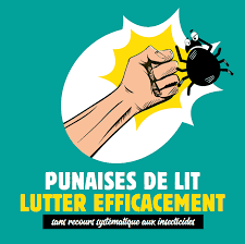 Maybe you would like to learn more about one of these? Punaises De Lit Lutter Efficacement Sans Recours Systematique Aux Insecticides Plaquette Agence Regionale De Sante Ile De France