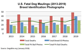 2019 Fatal Dog Attack Breed Identification Photographs Dogsbite Blog