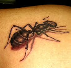 ant tattoo | Ant tattoo, Insect tattoo, Tattoos