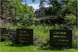 Het parcours heeft een lengte van 10 km en bestaat uit 2 wandelingen die aan elkaar geknoopt zijn. Park Oude Abdij Van Kortenberg Park Kortenberg Abbey I 15 Foto S Pics Mijnnikonenik A Way Of Life