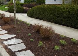 When to put mulch down? An Early Spring Must Do Mulch Nature S Perspective Landscaping