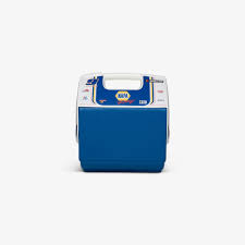 Chase for the cup is the eighth installment of the ea sports' nascar video game series. Nascar Chase Elliott Playmate Pal 7 Qt Cooler Igloo