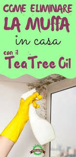 Come Eliminare La Muffa In Casa Con Il Tea Tree Oil Natural Cleaning Products Tee Tree Tee Tree Oil