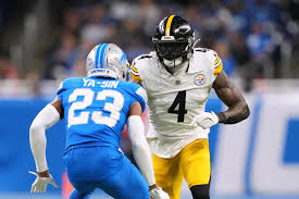 Steelers receiver DK Metcalf swipes at Lions fan leaning over railing – The  Mercury