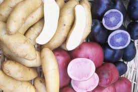 The Edible Explorer Ancient All Blue Potatoes Csmonitor Com