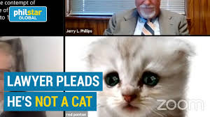 The cat got lawyer rod ponton's tongue tuesday in virtual court—after a cat filter briefly got his face. Lawyer Appears As A Kitten Behind Zoom Filter During Court Hearing