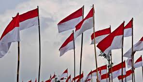 Dia menyebut bendera indonesia adalah sampah dan ia membakarnya. Ibu Ibu Gunting Bendera Merah Putih Terungkap Ternyata Motifnya