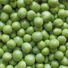 Image result for Pisum