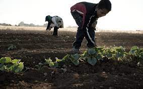 We did not find results for: Kinderarbeit Die 7 Wichtigsten Fragen Antworten Unicef