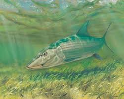 Jorge Martinez Miami Based Fish Artist Fish Artist Martinez