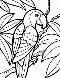 Resultado De Imagen Para Dibujo De Loro Pajaros Para Colorear Dibujos Libro De Colores