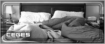 حبيبي خضروات حمية تفسير النوم على السرير في المنام Phfireballs Com