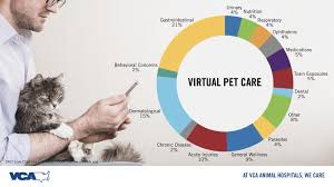 We at pets at peace feel all animals deserve respectful and humane treatment especially at the end of life. Nick Connor Partner Pet Businesses Clarke Capital Partners Linkedin