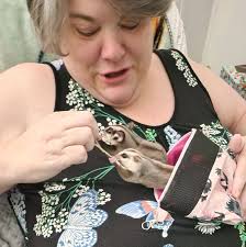 Scam alert: fake roofing company calls in Stillwater area