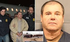 El chapo is said to have fallen in love with her when he saw her at a beauty pageant in the drug queen arrest. El Chapo Will File An Appeal To Be Released From Jail After He Was Sentence To Life Plus 30 Years Daily Mail Online