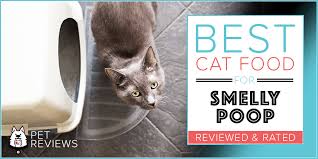 Prime members enjoy free delivery and exclusive access to music, movies, tv shows, original audio series, and kindle books. 11 Best Cat Foods For Smelly Poop Low Odor Feces In 2021