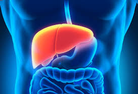 Keto diets, like most low carb diets, work through the elimination of glucose. Restoring Liver Function With Lchf Diet Doctor