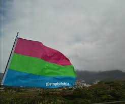 Resultado de imagen de polisexual bandera