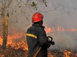 The fire of love that burned in her. Incendios Mais De 180 Operacionais Combatem Fogo Em Zona De Mato Em Loures Atualidade Sapo 24