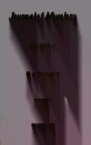 Image result for Metasphaeria diplodiella