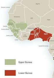 Equatorial guinea is a small country on the west coast of africa which struck oil in 1995 and which is now being cited as a textbook case of the resource curse. Lower Guinea Tracing African Roots