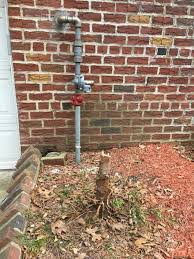 Turning tree stumps into landscape ornaments is a wildly popular concept. How To Hide A Tree Stump Hometalk