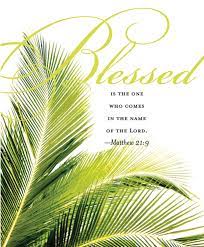 Blessed is he who comes in the name of the lord! Palm Sunday 2018 Best Quotes Bible Verses Wishes Picture Messages To Mark Jesus Christ S Entry Into Jerusalem Photos Images Gallery 85966