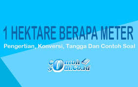 Aplikasi berbasis web kami membantu anda mengubah file dokumen dalam hitungan detik. Neverjetno Zasedba Prilagodljivost Hektar Meters Littletumtitu Com