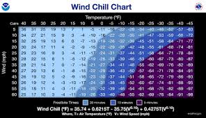Image result for Wind Chill 2025 TX