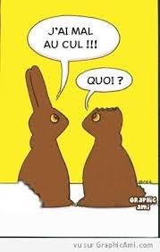 Epingle Sur Drole Amusant