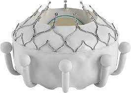 The Triscend Ii Trial Edwards Lifesciences