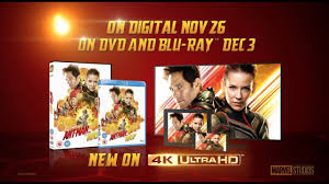 Ant man and the wasp dvd release date. Ant Man And The Wasp Coming Soon On Digital Blu Ray Youtube