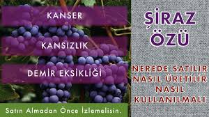 Prof Ibrahim Saracoglu Demir Eksikligi Ve Anemiye Karsi Mucize Kur Tarifi Youtube