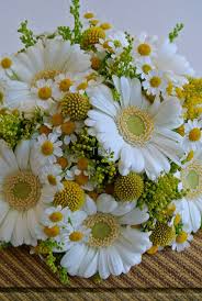 We offer a unique variety of daisies from. Sommer Brautjungfern Bouquet Weisse Germini Mini Gerbera Ganseblumchen Solidago Craspe Gerbera Daisy Wedding Flowers Wedding Bouquets Wedding Flowers