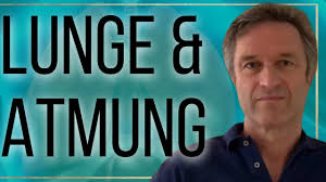 Peter Levins Vortrag über das Thema „osteopathischer Blick auf die Lunge  und das Atmen“ auf LoMeRio