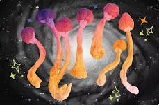 The History of Psilocybin